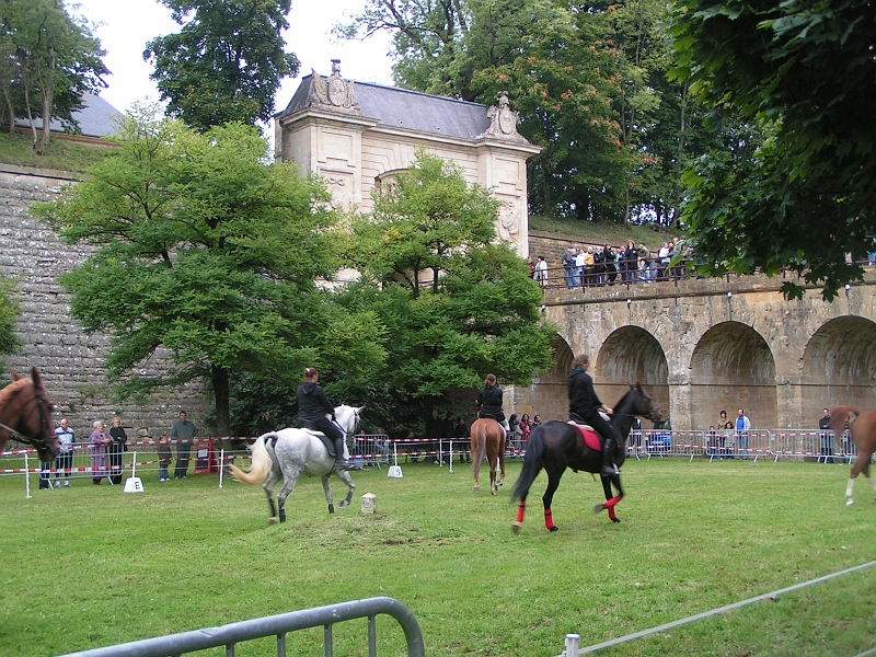 REMPARTS LONGWY 2008 214.jpg